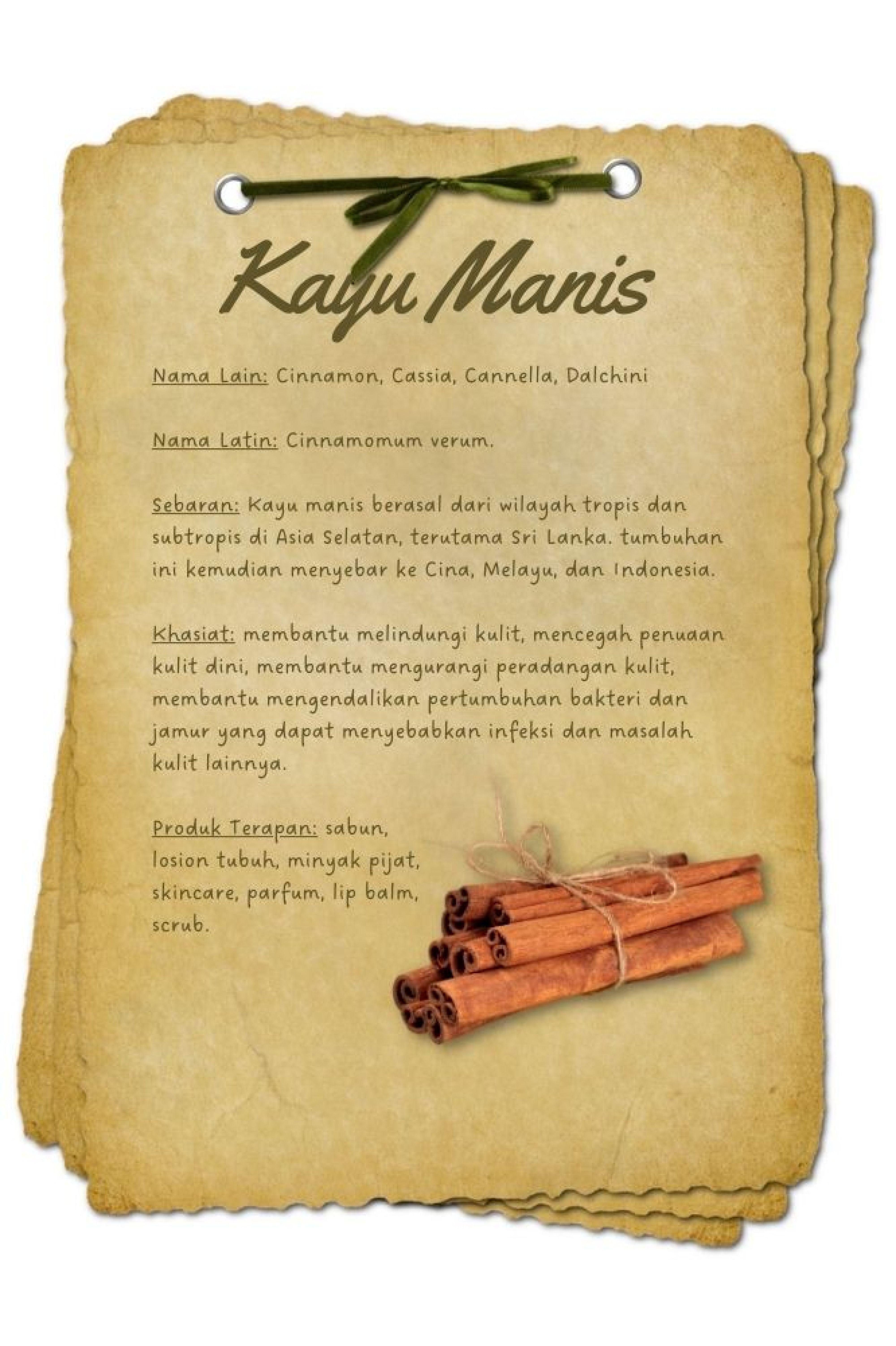 BAHAN AKTIF kayu manis - Beautyversity.jpg